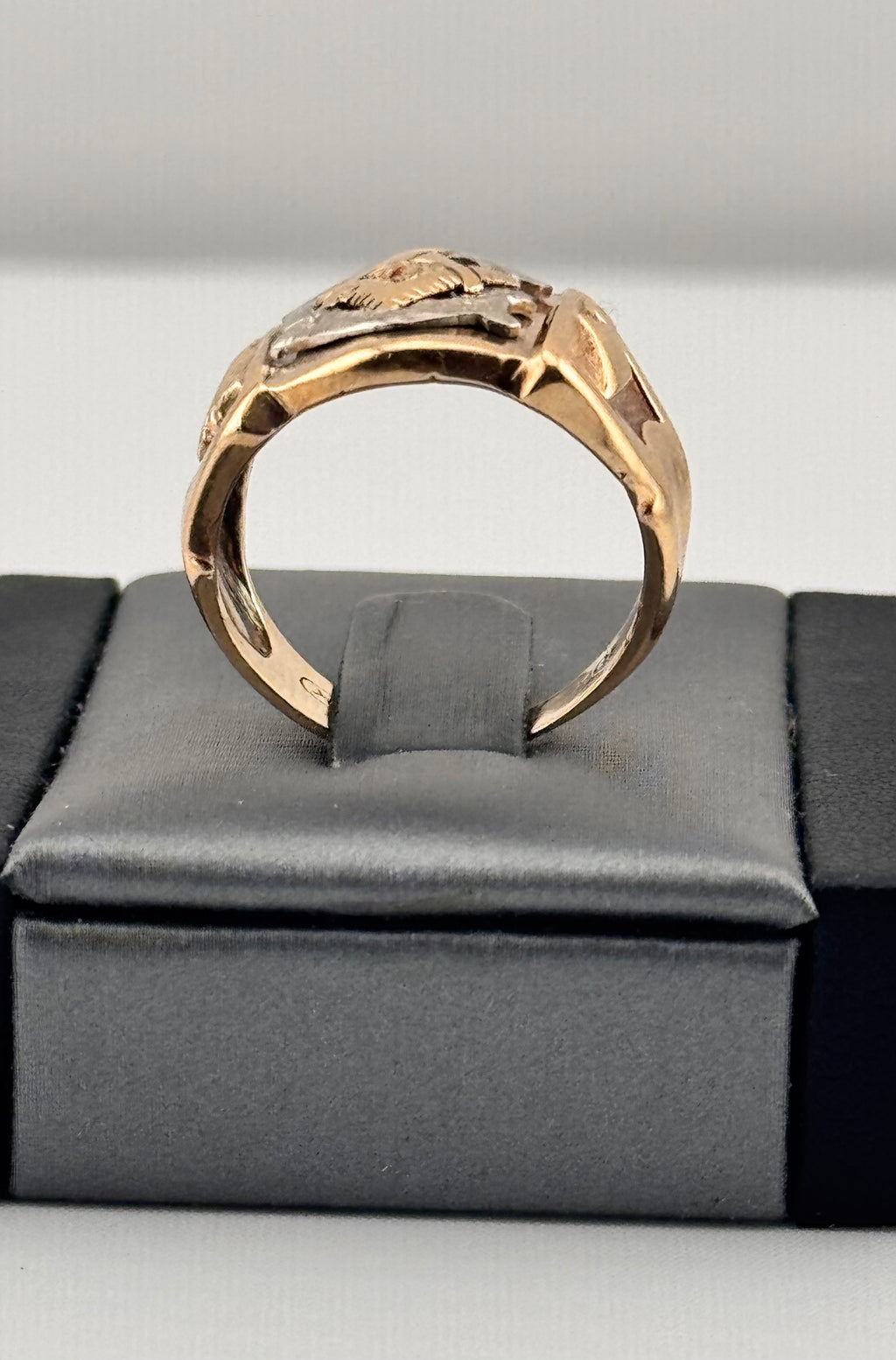 Men's Two-Tone Masonic Ring in 10K Yellow Gold